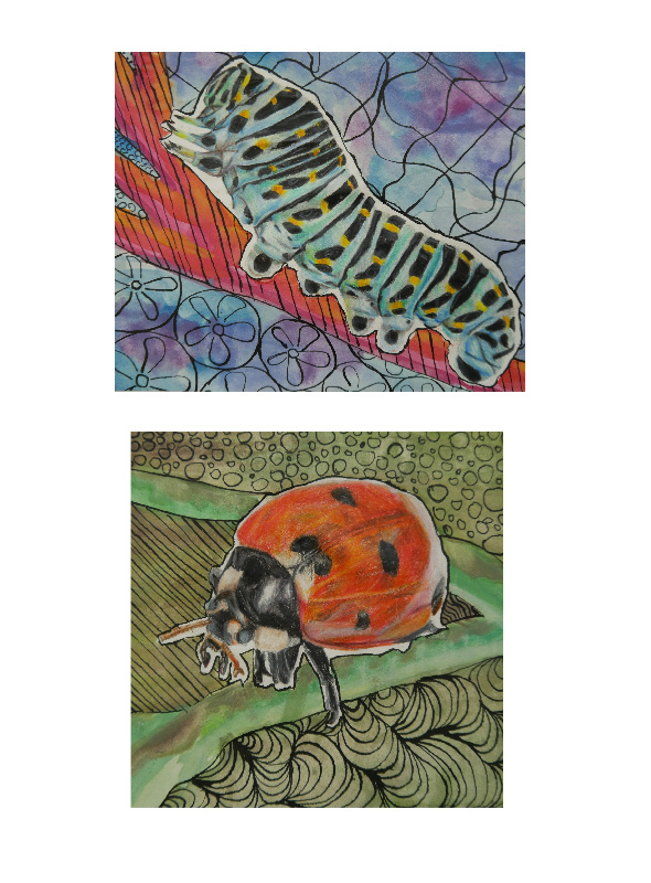 DSCI46051   Kopie (3)